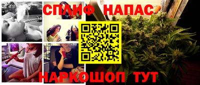spice Можга
