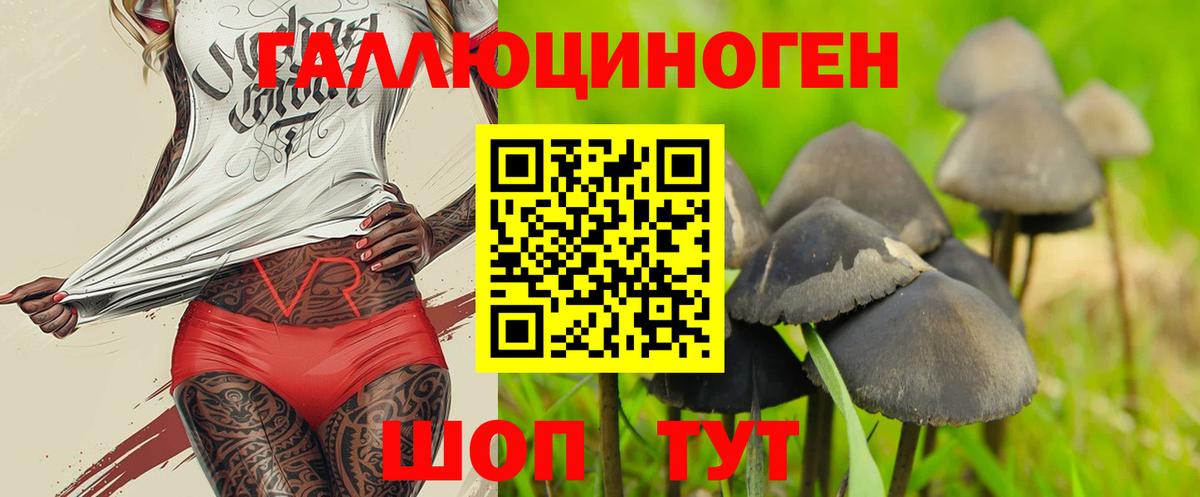 Губкин  Галлюциногенные грибы ЛСД  Вход с VPN 